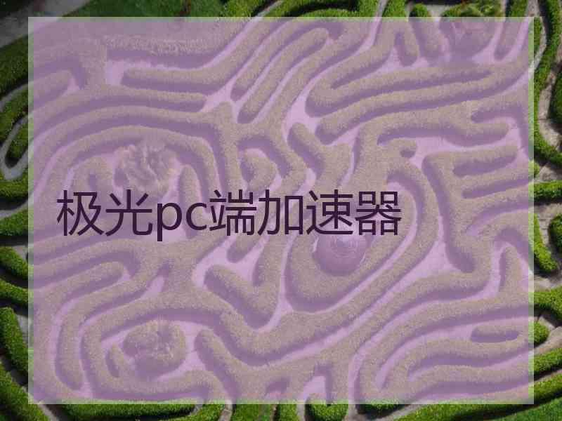 极光pc端加速器