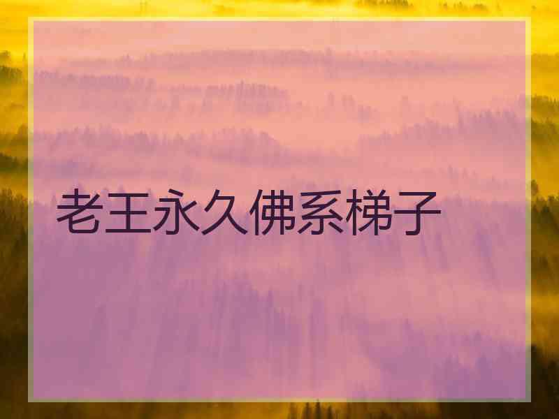 老王永久佛系梯子