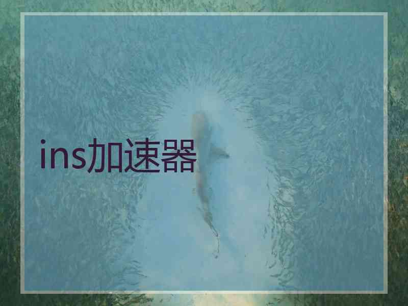 ins加速器