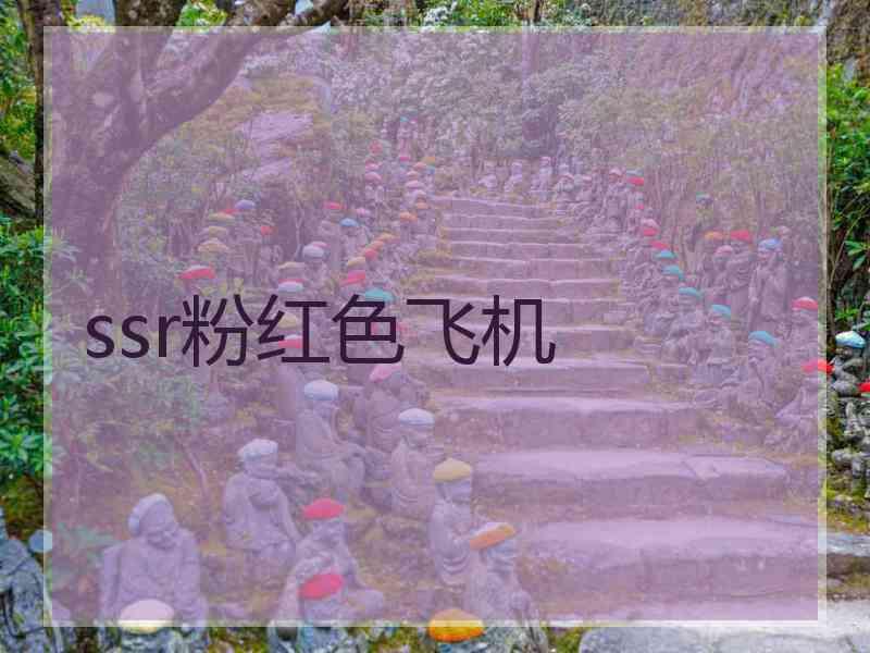 ssr粉红色飞机