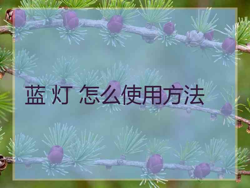 蓝 灯 怎么使用方法