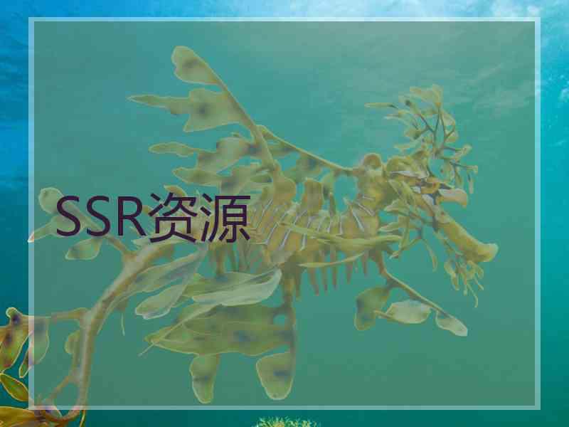 SSR资源
