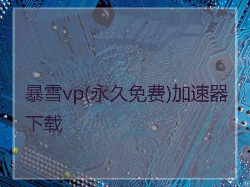 暴雪vp(永久免费)加速器下载