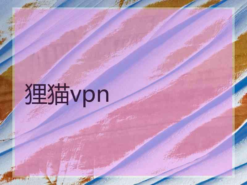 狸猫vpn