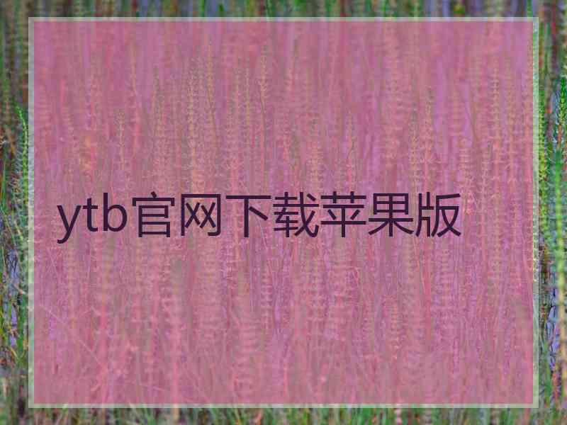 ytb官网下载苹果版