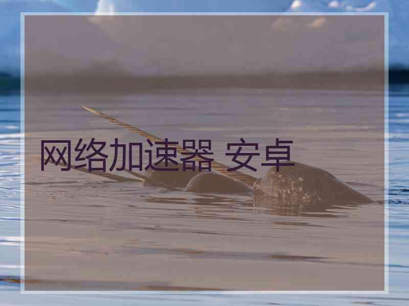 网络加速器 安卓