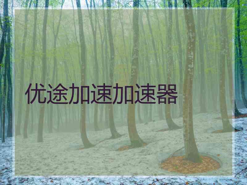 优途加速加速器