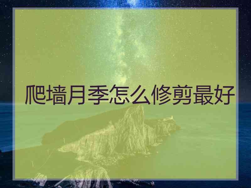 爬墙月季怎么修剪最好
