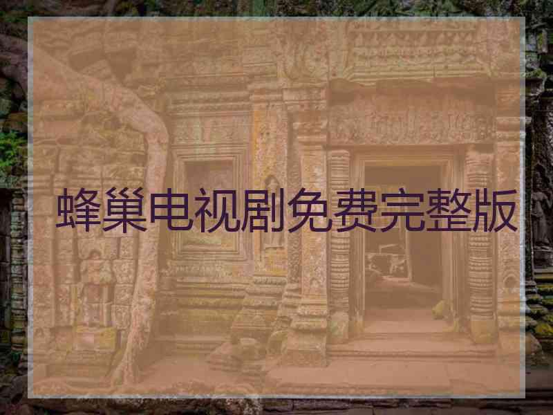 蜂巢电视剧免费完整版