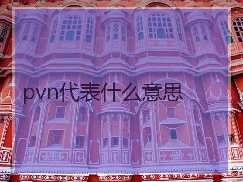 pvn代表什么意思
