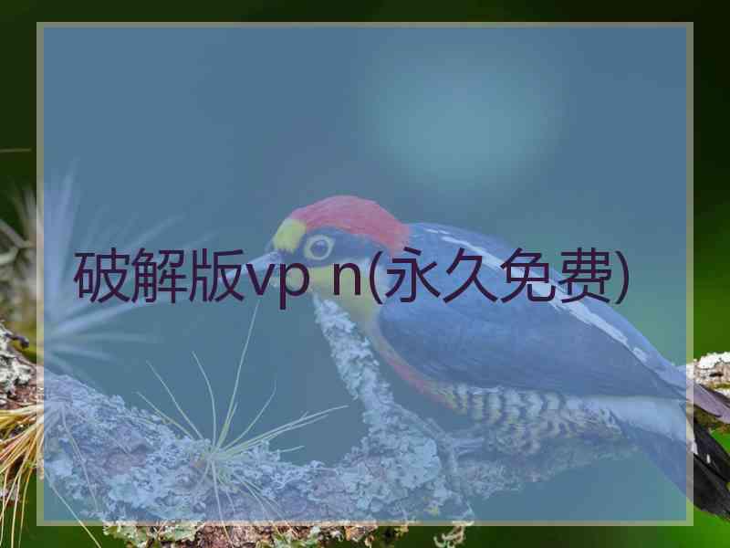 破解版vp n(永久免费)