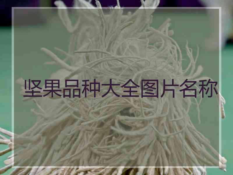 坚果品种大全图片名称