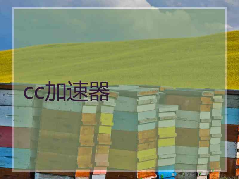 cc加速器