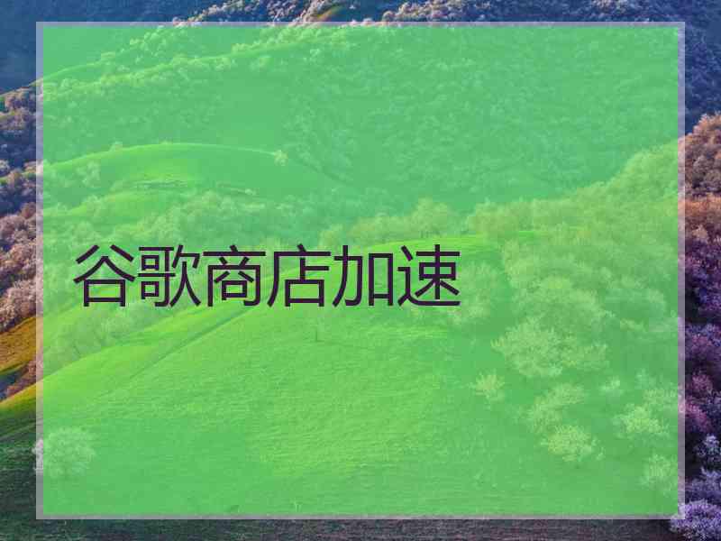 谷歌商店加速