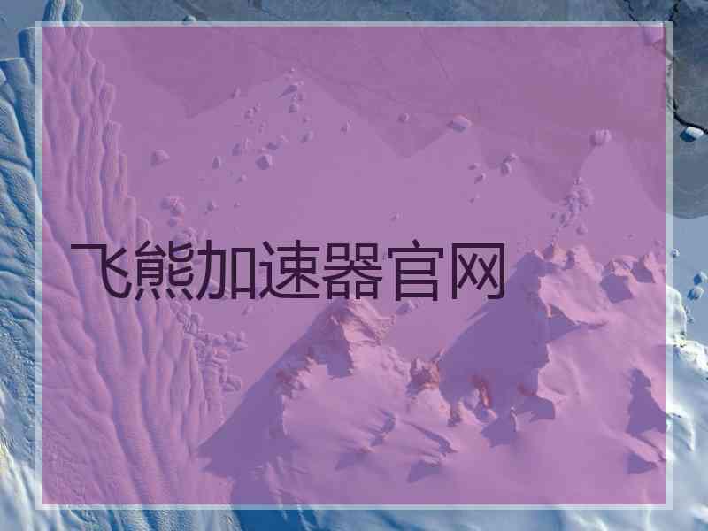 飞熊加速器官网