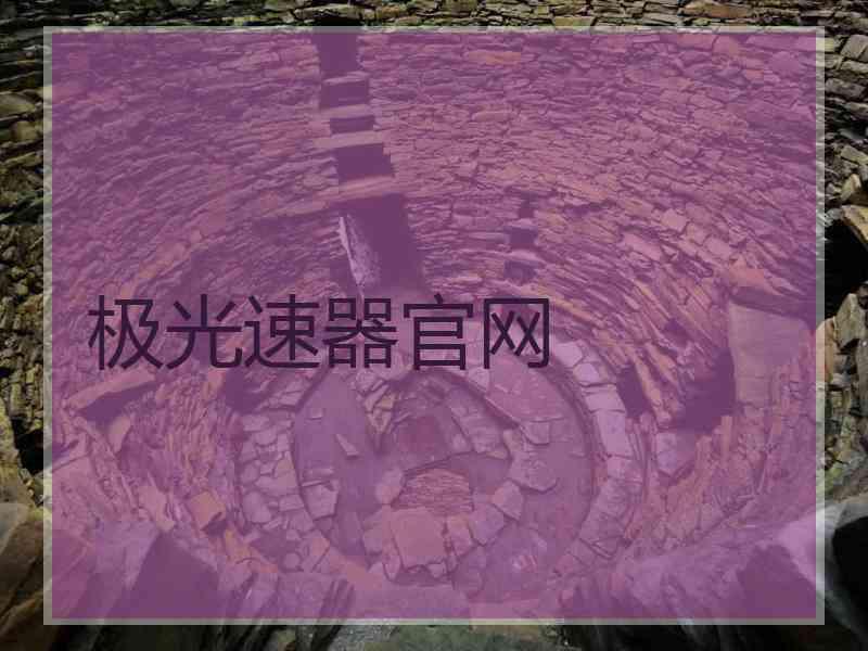 极光速器官网