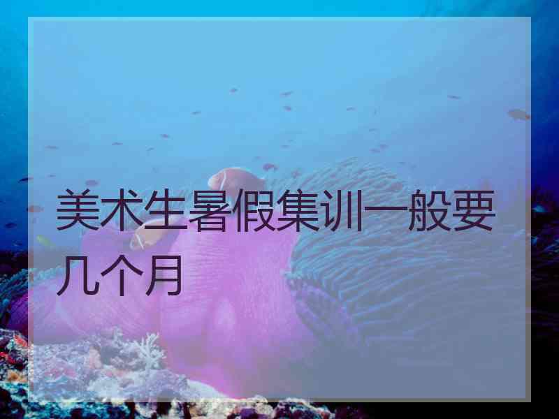 美术生暑假集训一般要几个月