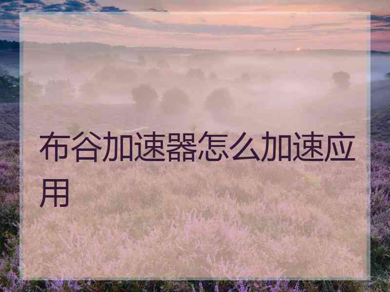 布谷加速器怎么加速应用