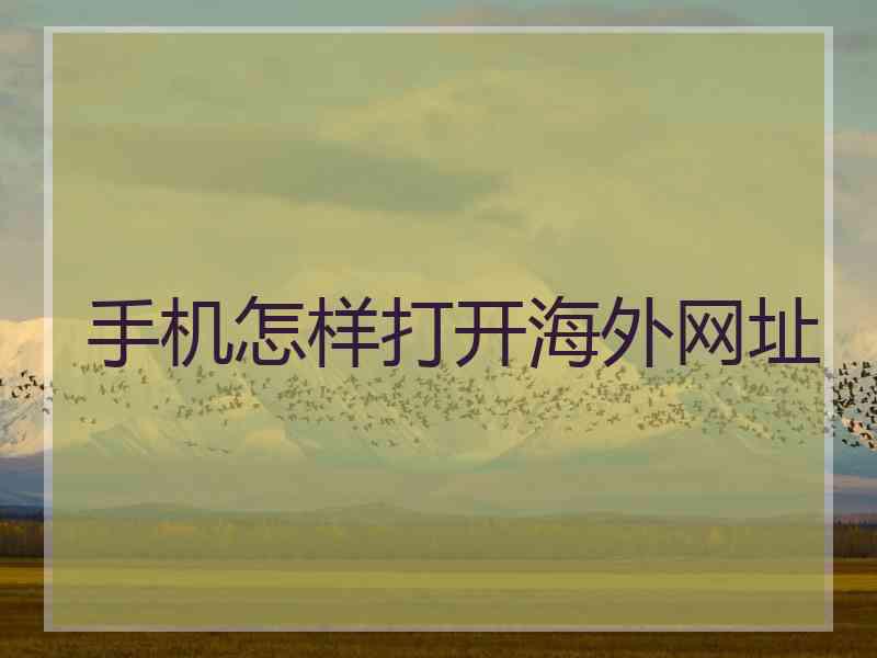 手机怎样打开海外网址