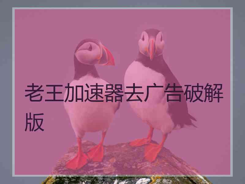 老王加速器去广告破解版