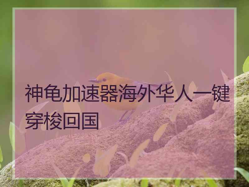 神龟加速器海外华人一键穿梭回国