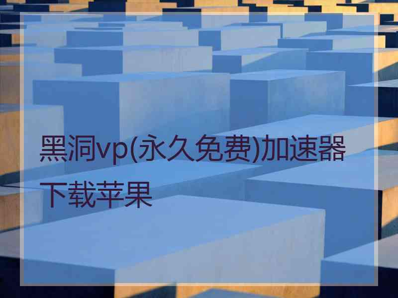 黑洞vp(永久免费)加速器下载苹果
