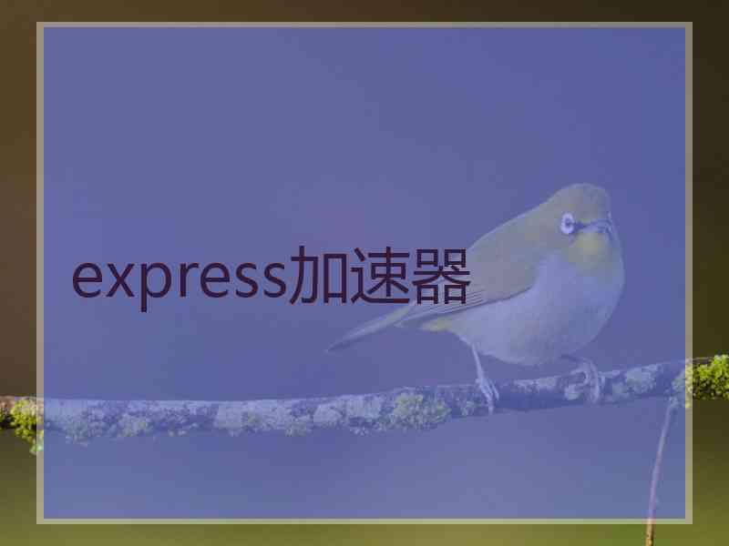 express加速器