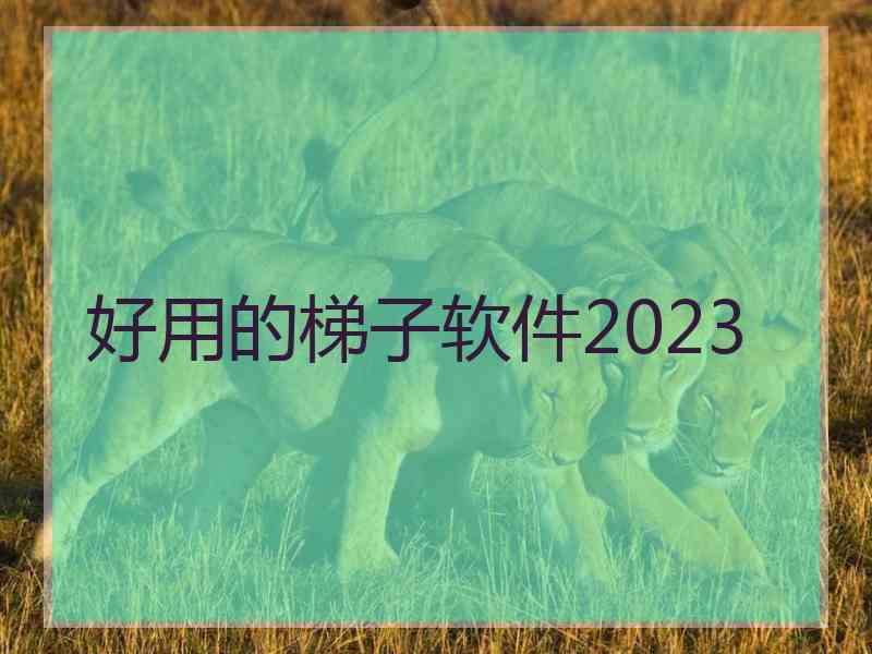 好用的梯子软件2023