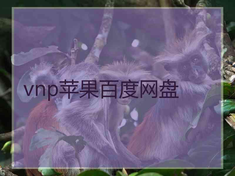 vnp苹果百度网盘