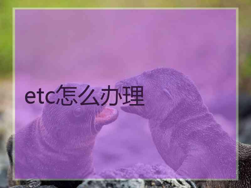 etc怎么办理