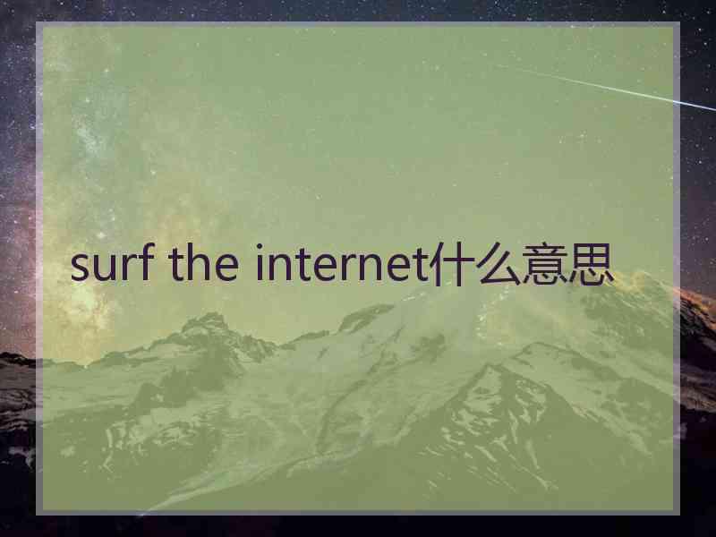 surf the internet什么意思