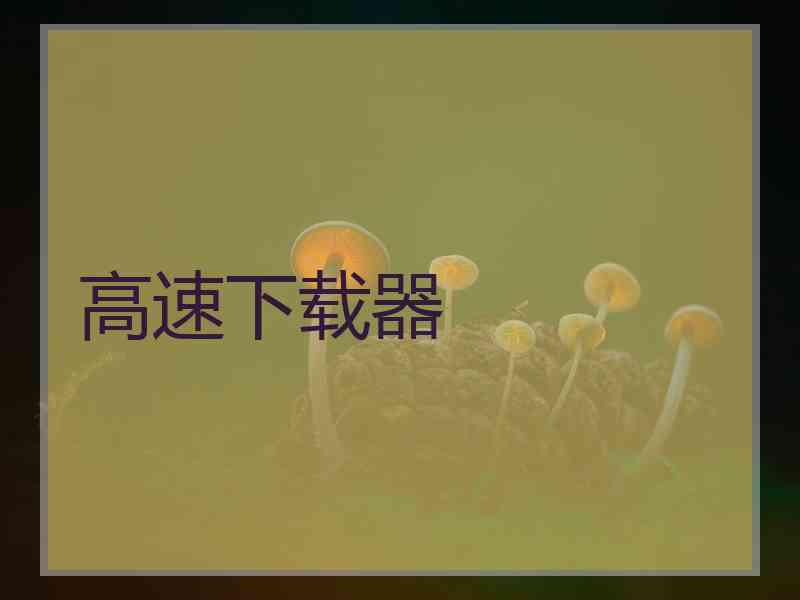 高速下载器