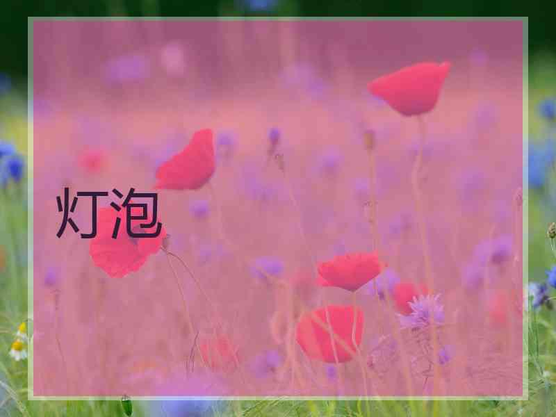 灯泡