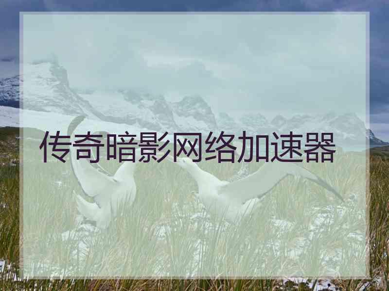 传奇暗影网络加速器