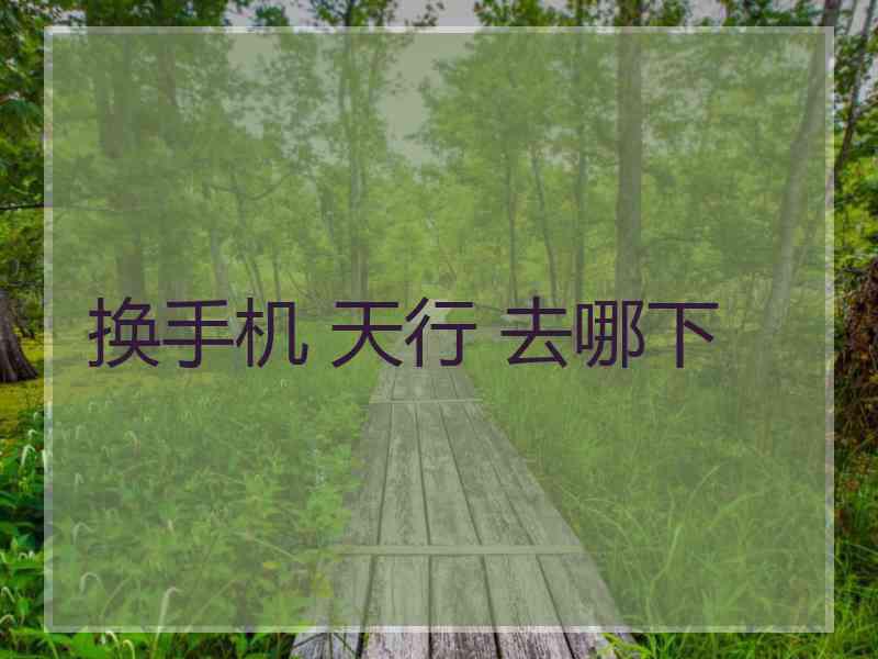 换手机 天行 去哪下