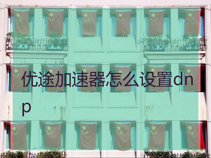 优途加速器怎么设置dnp