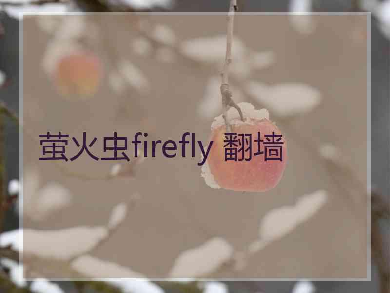 萤火虫firefly 翻墙