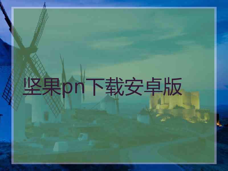 坚果pn下载安卓版