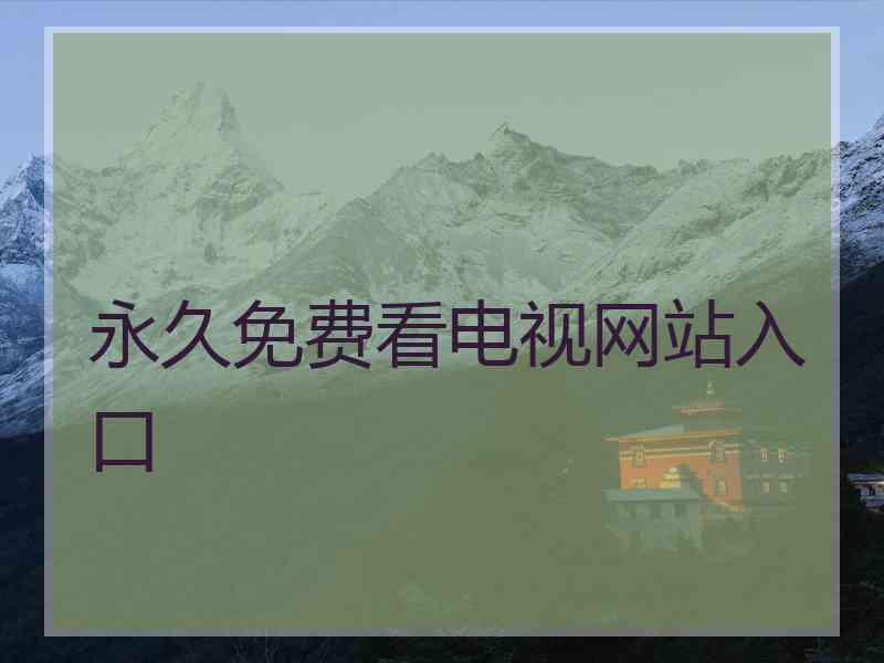 永久免费看电视网站入口