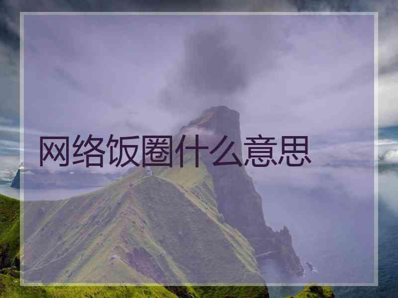 网络饭圈什么意思
