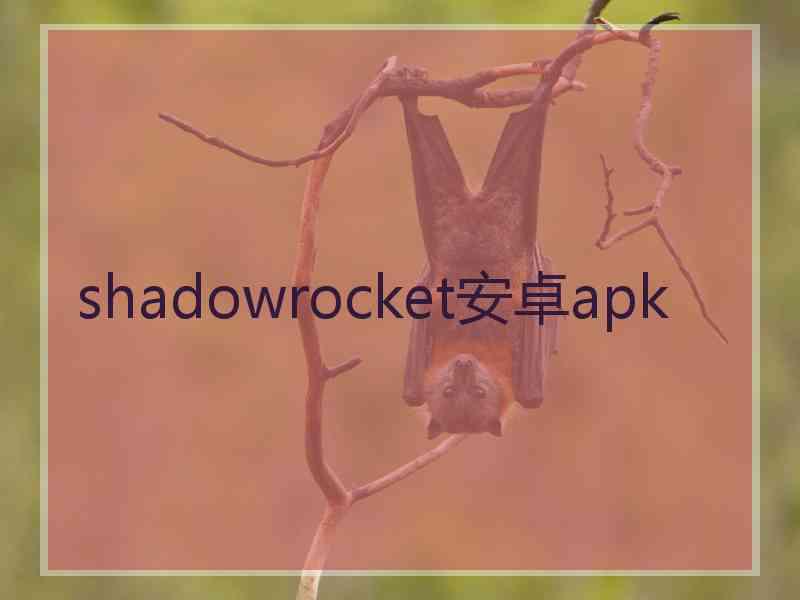 shadowrocket安卓apk