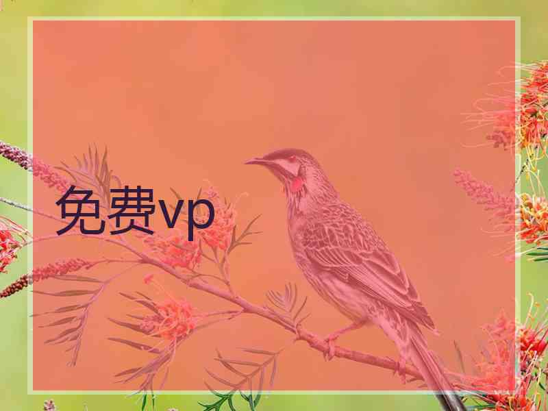 免费vp
