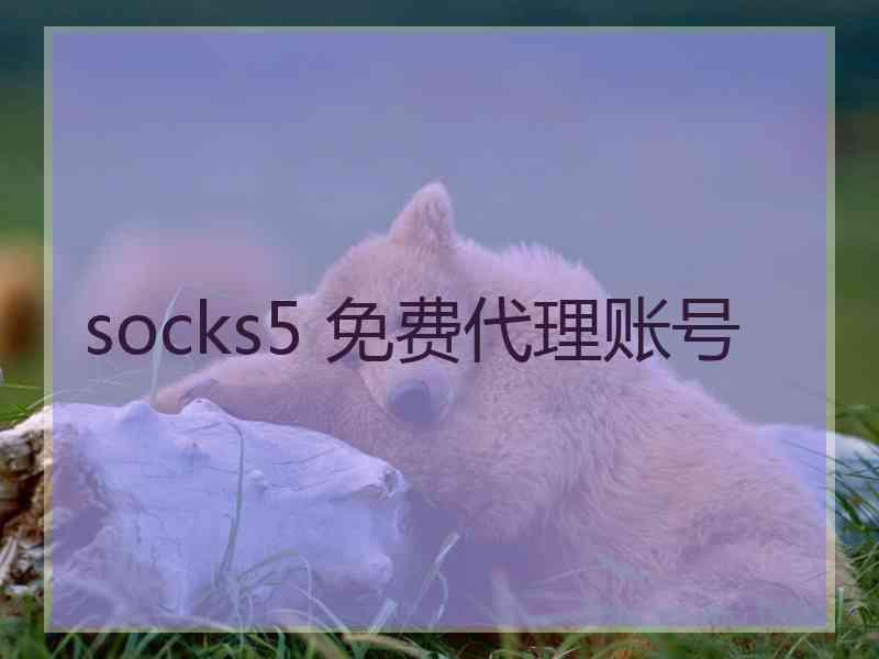 socks5 免费代理账号