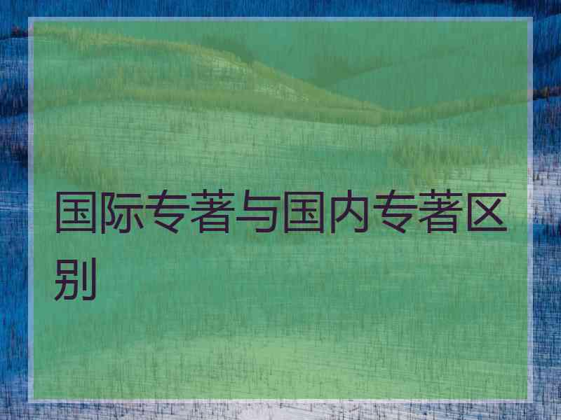 国际专著与国内专著区别