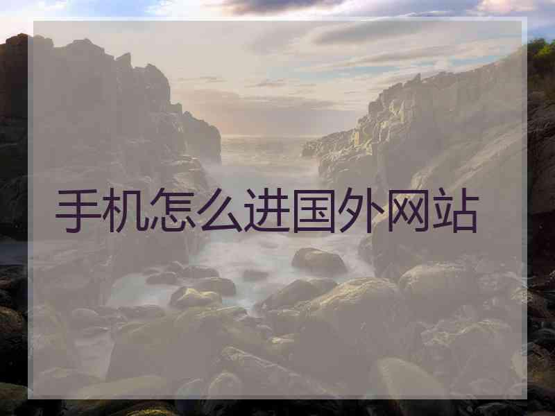 手机怎么进国外网站
