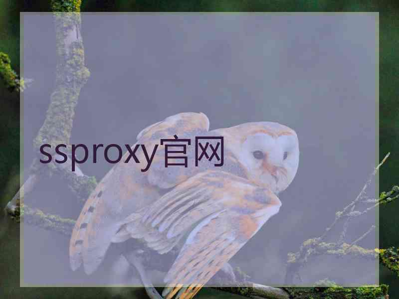 ssproxy官网