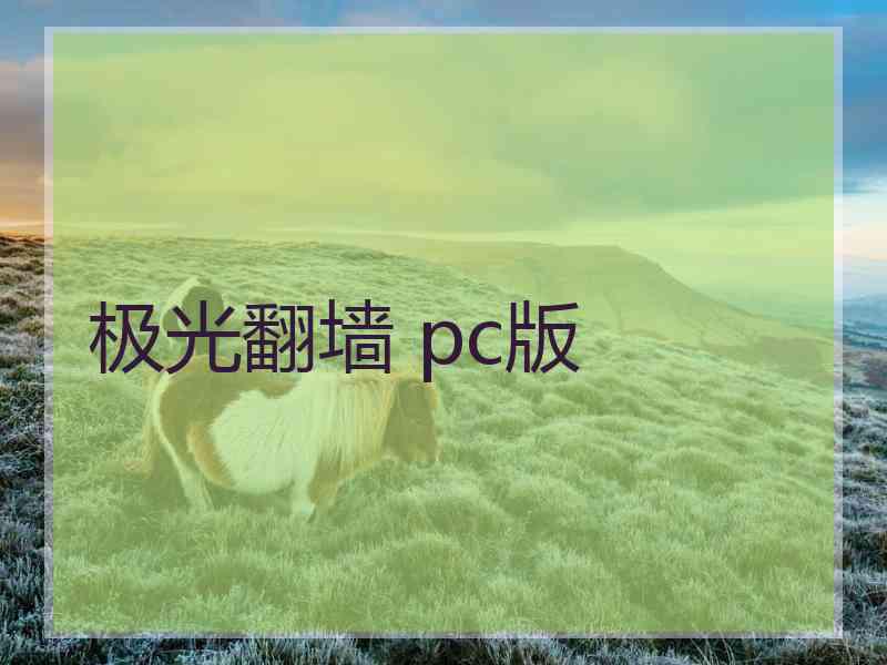 极光翻墙 pc版