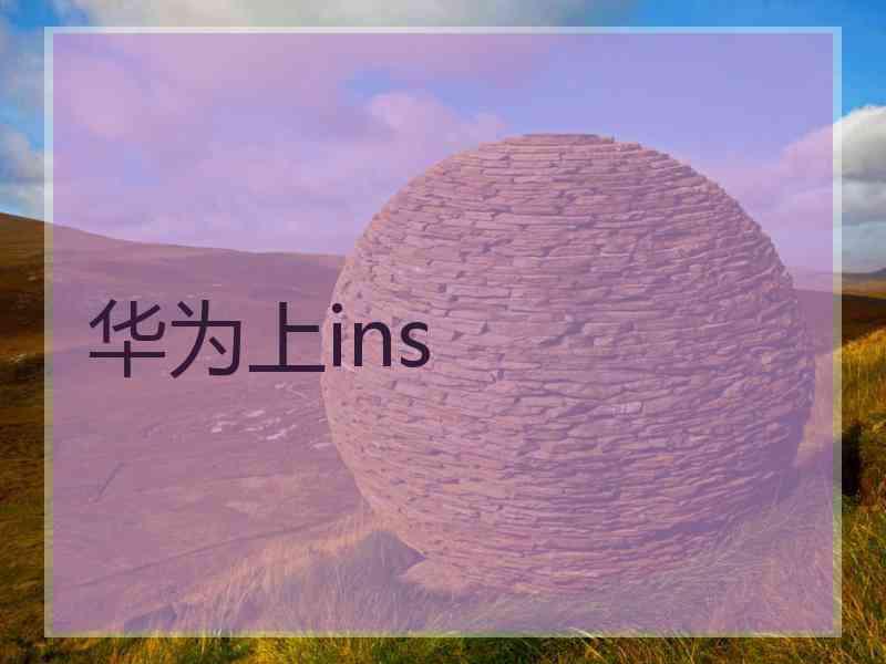 华为上ins
