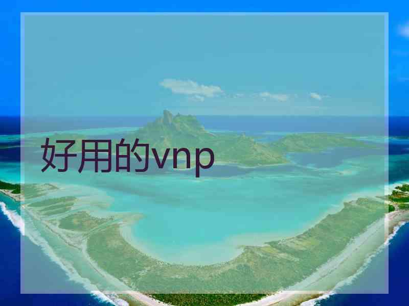 好用的vnp