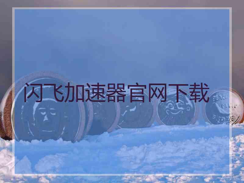 闪飞加速器官网下载